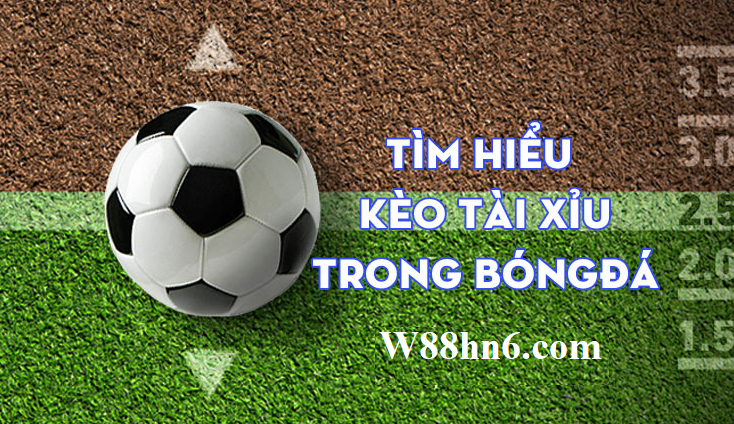 Cach doc ty le keo bong da tai xiu hinh anh 2