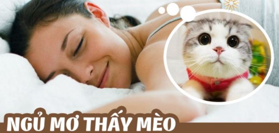 Giải mã giấc mơ thấy mèo