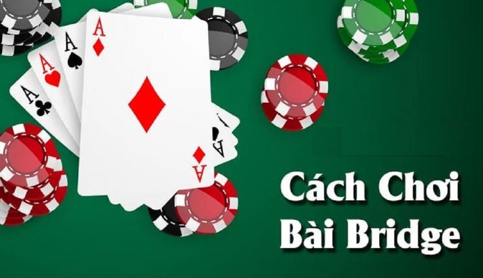 Tim hieu bai Bridge online chinh xac