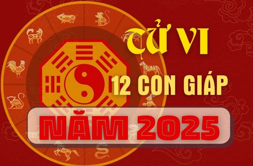 Luu y truoc khi xem tu vi 12 con giap nam 2025